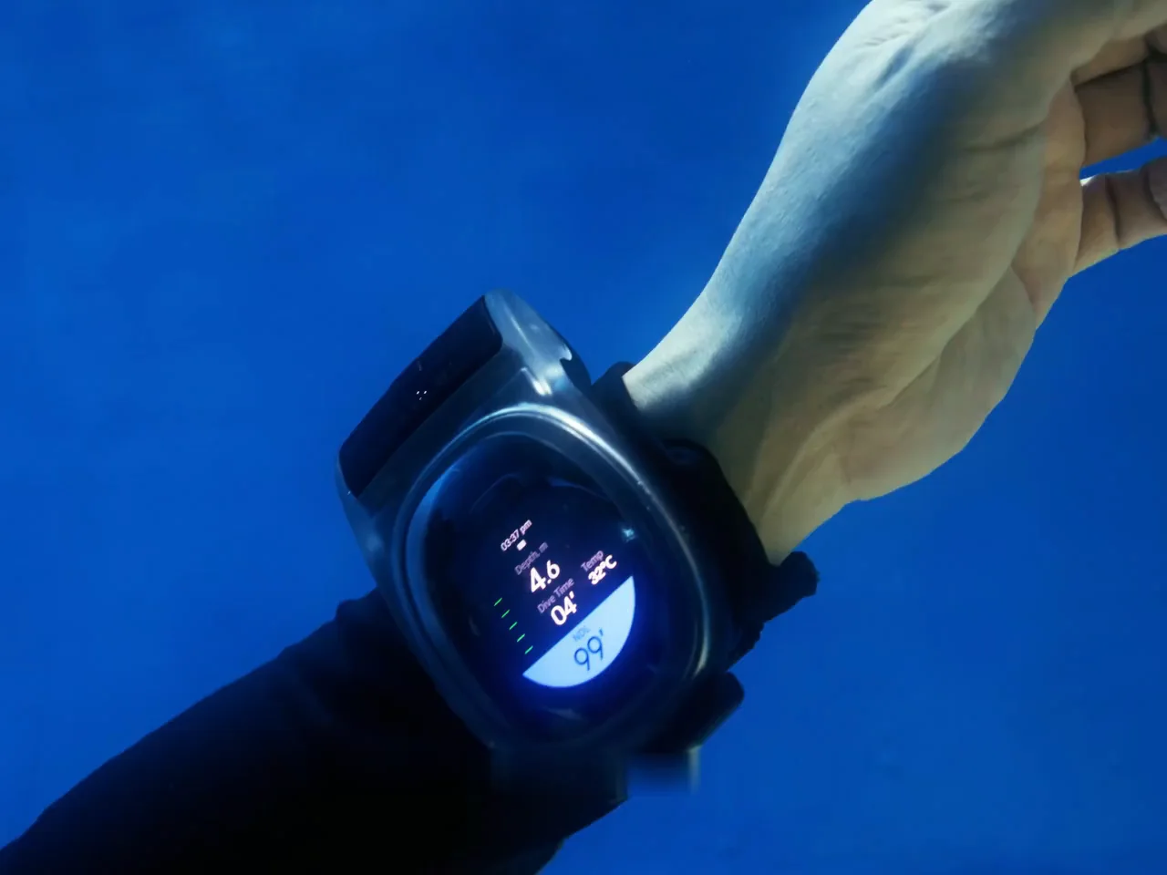 WatchDive in action underwater