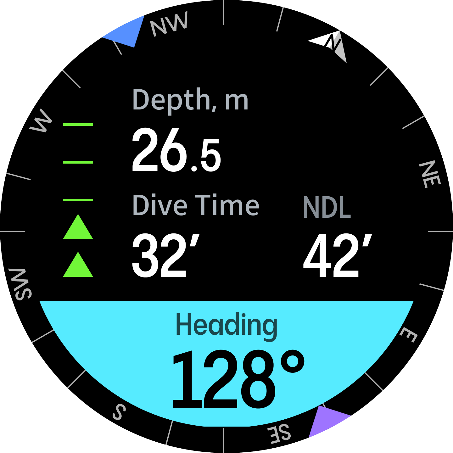 Watch Dive app running on a smartwatch